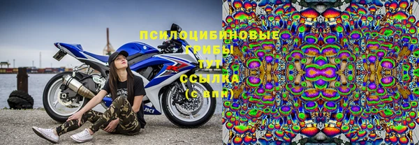 Альфа ПВП Осинники