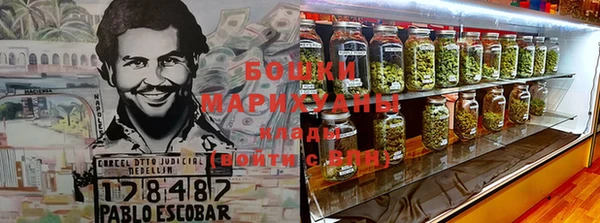 прущие грибы Абдулино