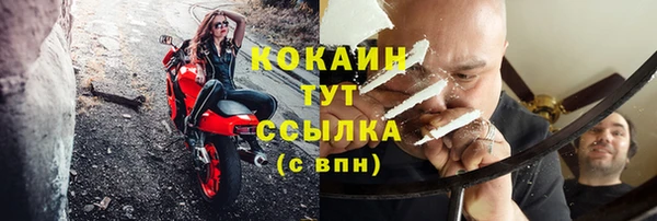 прущие грибы Абдулино