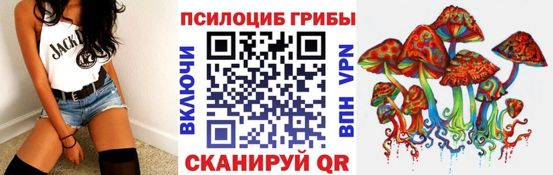 магазин продажи наркотиков  Новотроицк  Псилоцибиновые грибы Psilocybine cubensis 